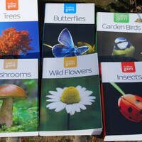 manual override of the alt attribute