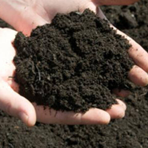 Compost & Soil