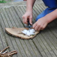 Bushcraft & Survival