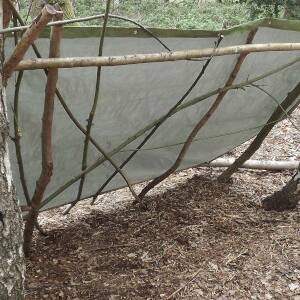 Securing a tarp using natural materials