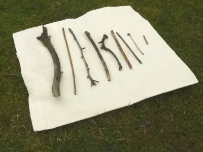 Compare length sticks 40x40