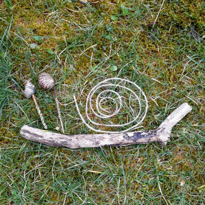 Exploring spirals 40x40