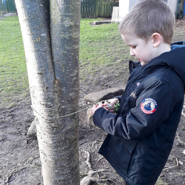 Measuring girth of tree 40x40