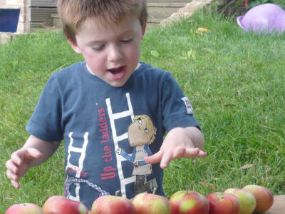 Counting apples 40x40