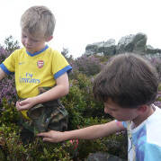 Sized 200 Step 1 + Feature Pic