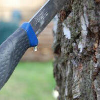 Birch sap: how to extract and use it