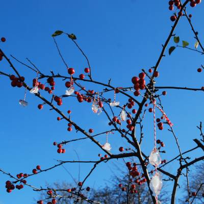 INSPIRATIONS - winter