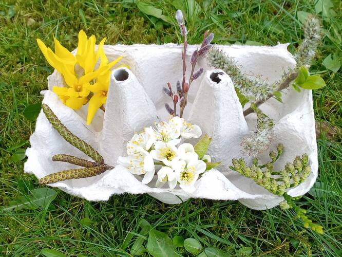 Spring egg box scavenger hunt 800x400