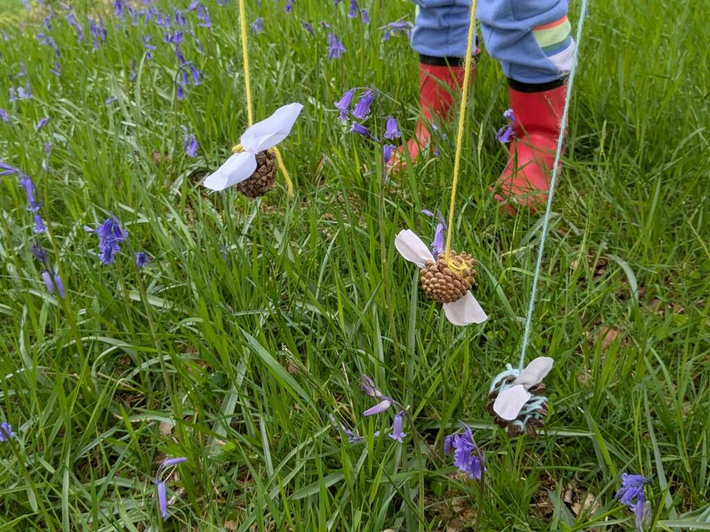 Flying Pinecone Bees credit Skylarks Forest School