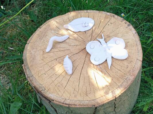 Butterfly clay lifecycle 60x40