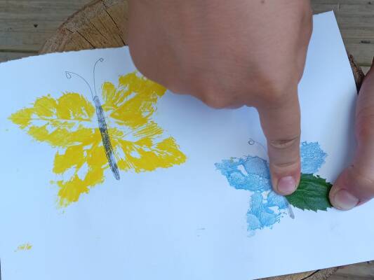 Butterfly leaf print