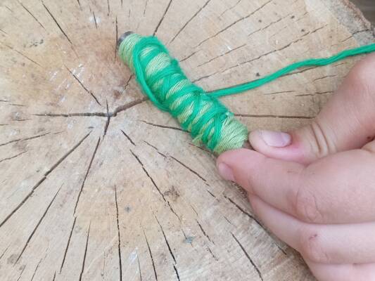 Stick and wool caterpillar