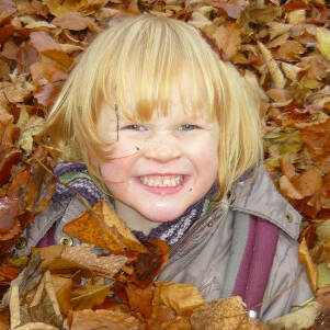 INSPIRATIONS - Leaves