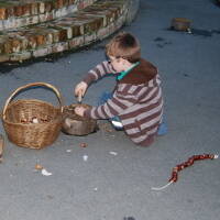 Tool use & Traditional Crafts