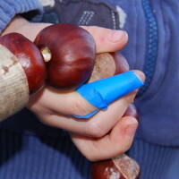 Tool use & Traditional Crafts