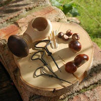 Tool use & Traditional Crafts