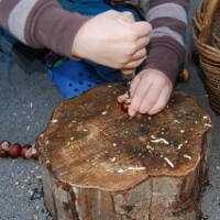 Tool use & Traditional Crafts
