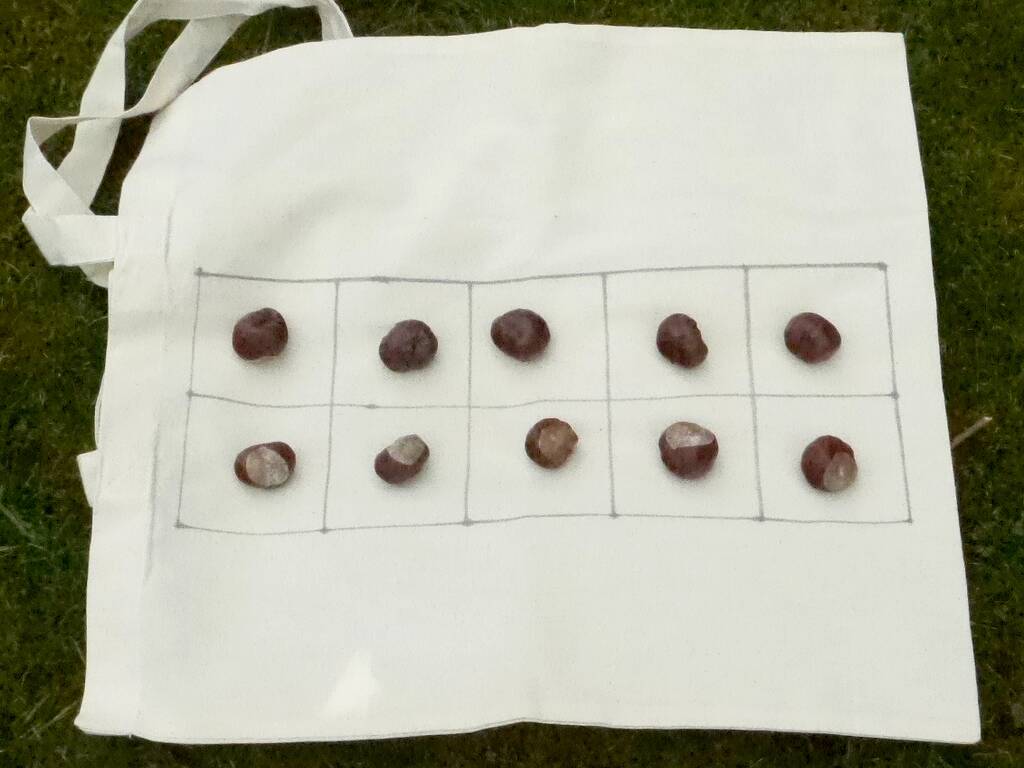 Ten frame conker bag 40x40