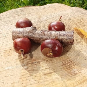 Wonky Conker Car