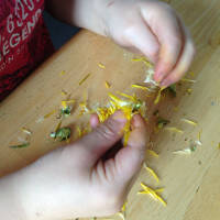 Dandypetalpicking Dandypetalpicking