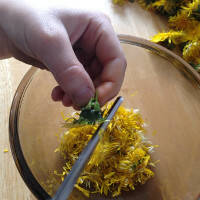 Cuttingdandypetals Cuttingdandypetals