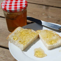 Dandyjam& Bread Dandyjam& Bread