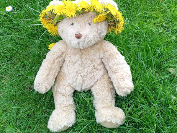 Dandelion crown 60x60