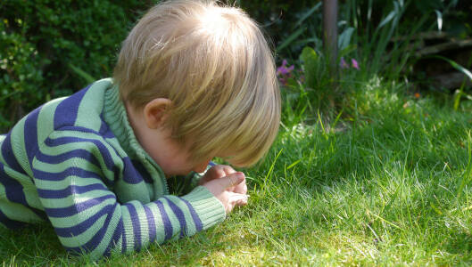 Outdoor Play