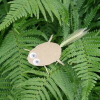 Cardboard Critter20x20 Cardboard Critter20x20