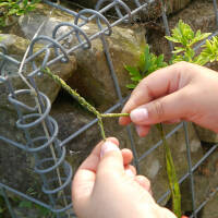 ➡️ Making Your Own Ropes For Survival (cord From Nettle)