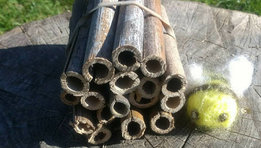 make-a-simple-bee-hotel-activities-muddy-faces