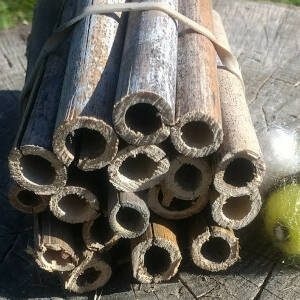 Make a simple bee hotel