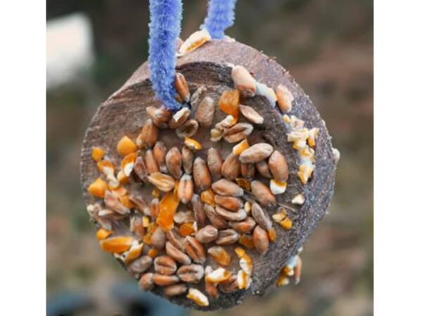 Wood cookie bird feeder