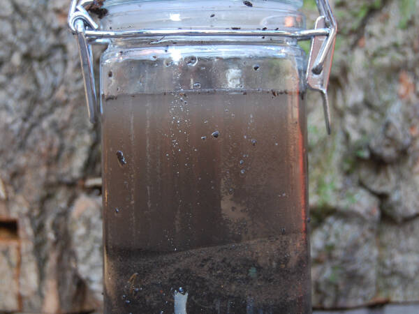 Mud layers in a jar60x60
