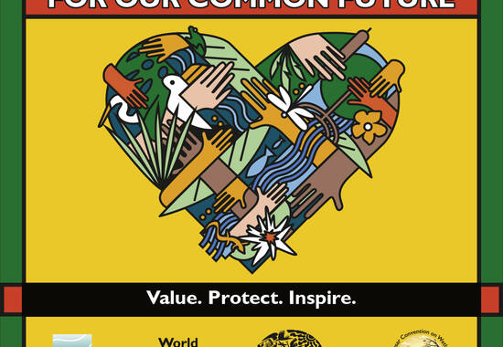 manual override of the alt attribute