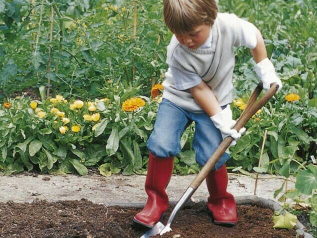 Category Child Size Tools Forks Spades