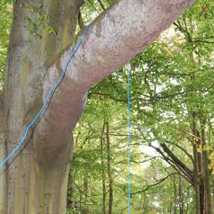 Shelters: throwing a rope over a high branch