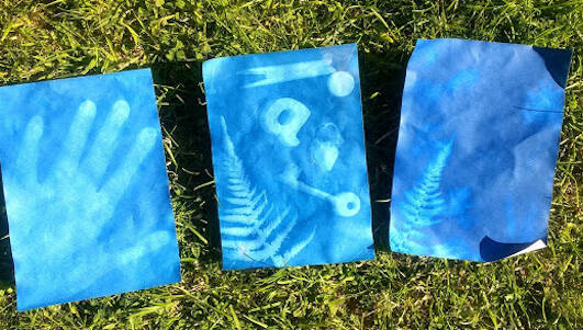 Making nature sun prints - Mud & Bloom