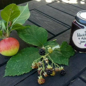 Blackberry & apple jam