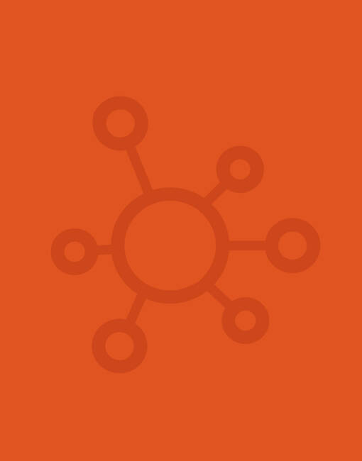 manual override of the alt attribute