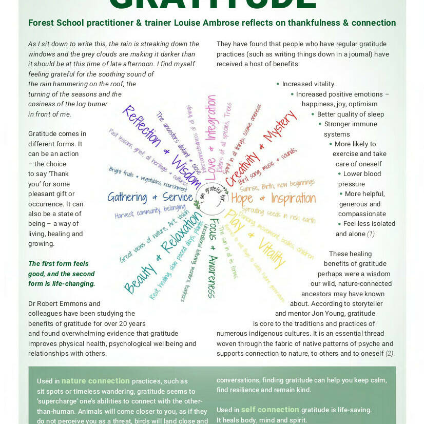 The Healing Power of Gratitude p1