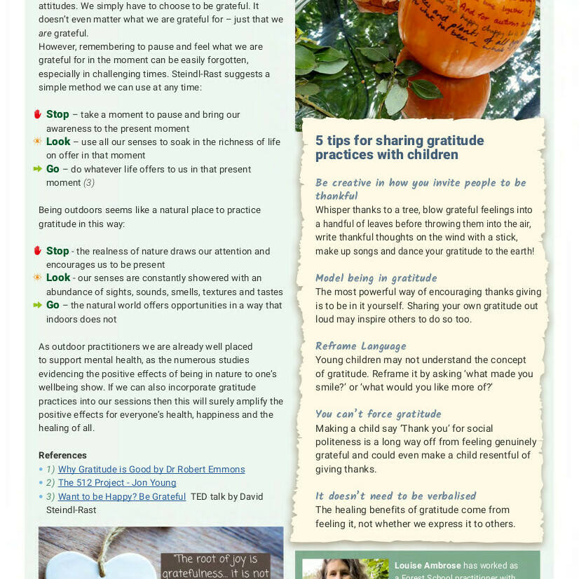 The Healing Power of Gratitude p2