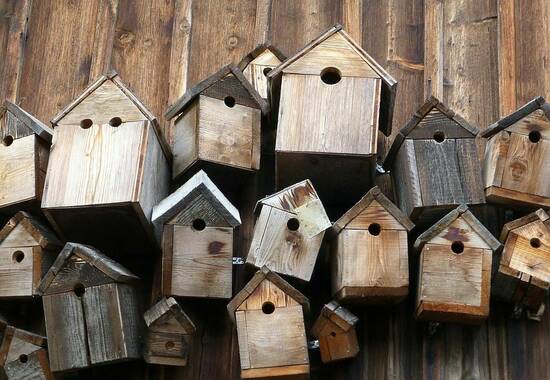 manual override of the alt attribute