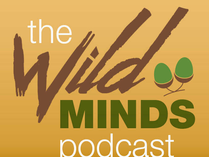 Wild Minds Podcast