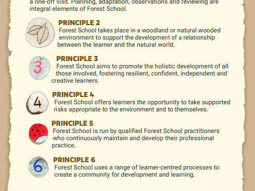 6 forest school principles
