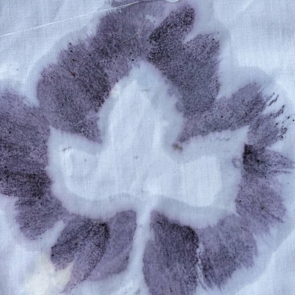 Forest school fun blackberry 1