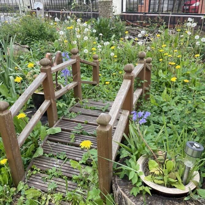 Bridge from naturally creative early years consultancy 2