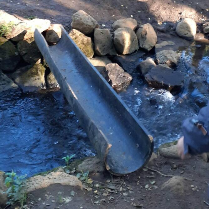 Bridge unnur Henrys 2