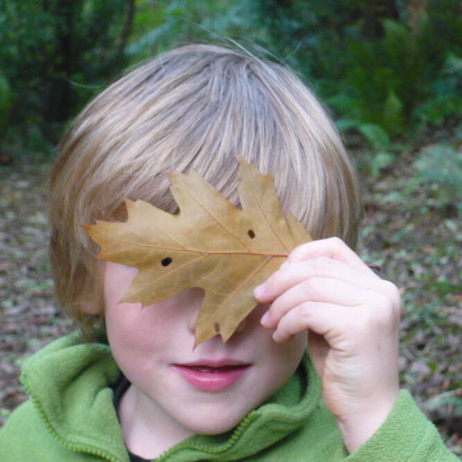 Leaf Leaf