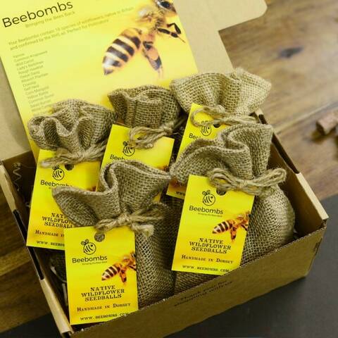 Beebombs